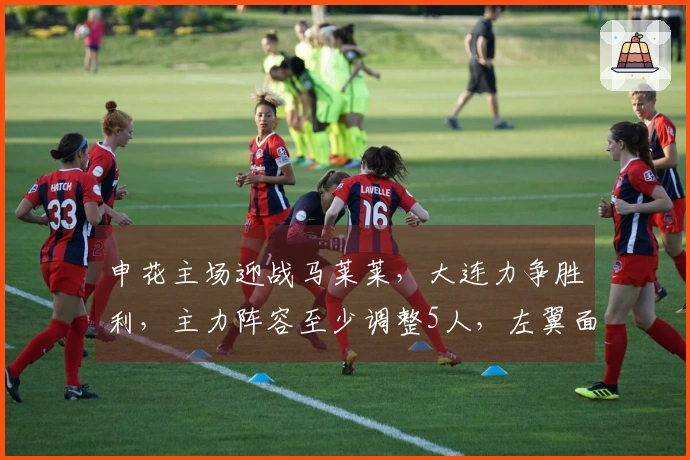 申花主场迎战马莱莱，大连力争胜利，主力阵容至少调整5人，左翼面临严峻考验
