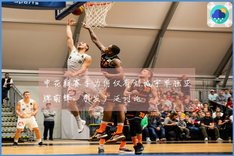 申花新赛季为何仅有刘诚宇单独正牌前锋，引发广泛讨论